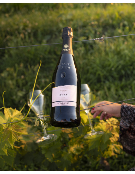 Alta Langa DOCG 2018 Rachele Rosé Tosti 1820