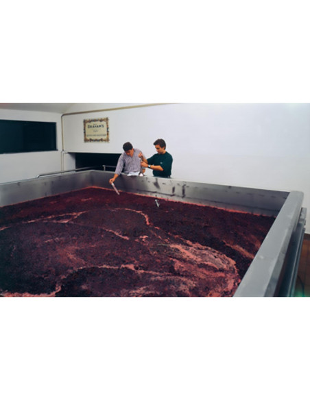 Porto Ramos Pinto Ruby