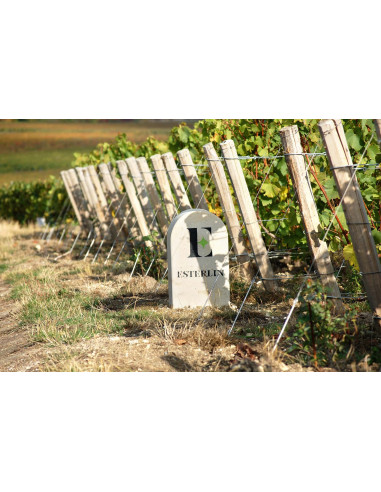 Esterlin Rosé Éclat