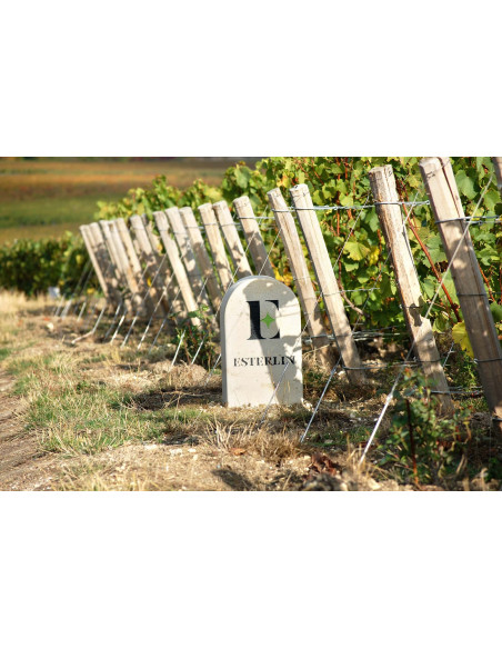 Esterlin Rosé Éclat
